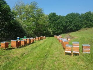 32280185 1914198878835425 9201925070417559552 o