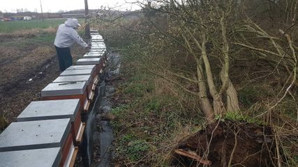 53761915 2103072826614695 873958572663242752 o