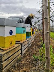 55453595 2113119465610031 6689114184279392256 n