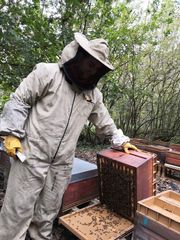 73249616 2251016555153654 8752990121994747904 o