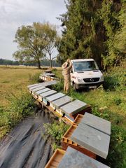 IMG 20200811 083446