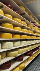 PXL 20230506 183211046