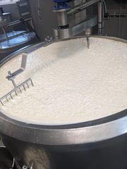 PXL 20230707 073519923 MP