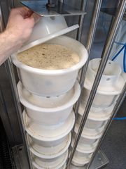 PXL 20230707 140832185 MP