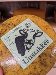 PXL 20230711 135943728 MP