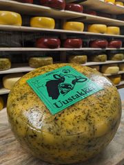 PXL 20230711 183047111 MP