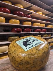 Uustakker Provencaals