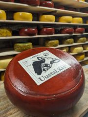 PXL 20230711 183240989 MP