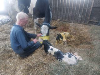 GEERT EN KOE EN KALJES