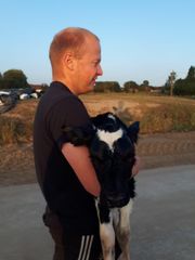 Jeroen en kalf