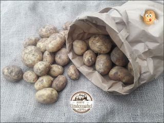 NIEUWE PATATJES 2022