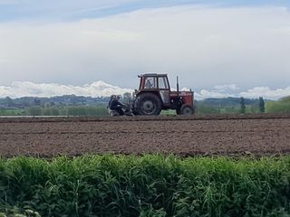 PATATTEN PLANTEN 2024