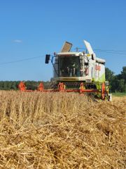 PIKDORSEN LANDER EERSTE KEER 2024