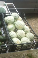 IMG 20190808 183135 2