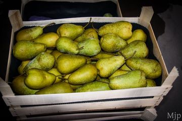 DSC 7358