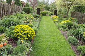 IMG 7824 griet HERWERK Tc