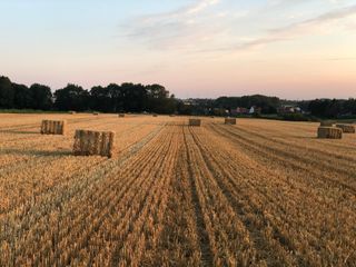 110179097 743107349798796 5680269408592994312 n