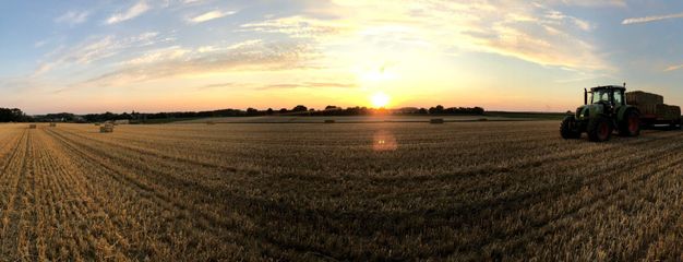 110336295 335053210851039 5435363540354343048 n