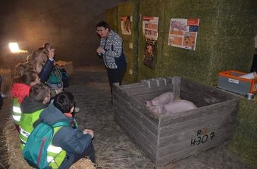 53113359 356258144991513 2820612788307623936 n