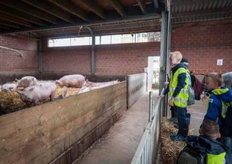 53410228 1081643852028257 9176457542144884736 n