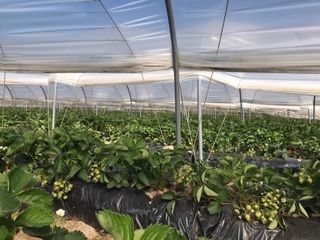 3dd60f93 1eaf 44af aee4 1ad3a2bf6b97