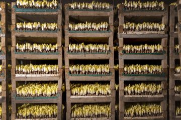 Hoeve Mahieu Nov 2023 26