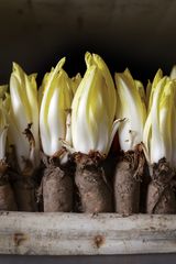 Hoeve Mahieu Nov 2023 30