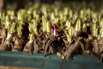 Hoeve Mahieu Nov 2023 33