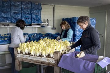 Hoeve Mahieu Nov 2023 4