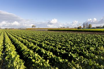 Hoeve Mahieu Nov 2023 54