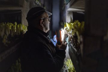 Hoeve Mahieu Nov 2023 67