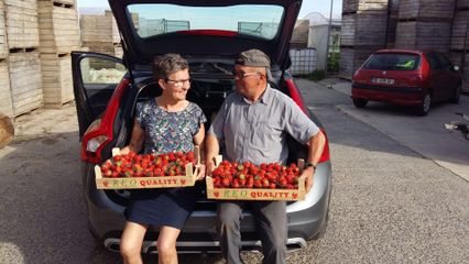 IMG 20190603 WA000019423