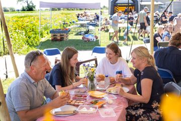 KERSENPLUK HOEVE MATHIEU 100 W VLAAMS 2025 Ateljé D Jan D Hondt 1 G3 A5620