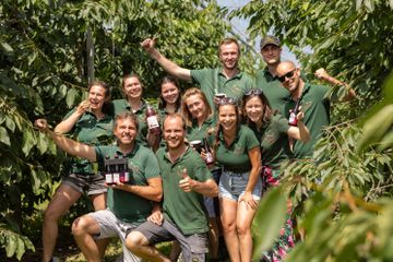 KERSENPLUK HOEVE MATHIEU 100 W VLAAMS 2025 Ateljé D Jan D Hondt 1 G3 A5723