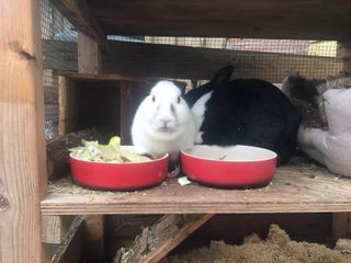 Whats App Image 2021 01 02 at 14 00 26