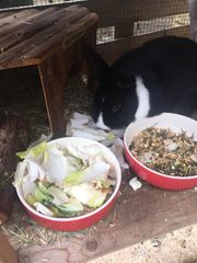 Whats App Image 2021 01 02 at 14 04 01