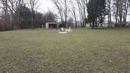 Whats App Image 2021 02 04 at 19 11 16