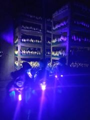 Whats App Image 2023 03 03 at 12 22 15 1