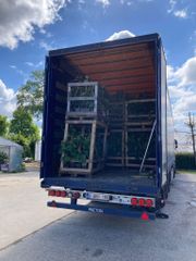 Kiwi vrachtwagen