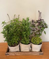 E651dd39 71b2 44be ab20 17482115e1be