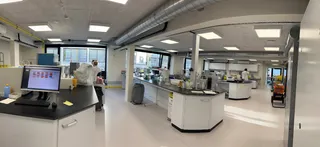 Vernieuwd labo bacteriologie