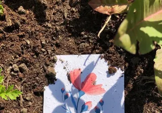 ONZE MEDEWERKERS MAKEN HET VERSCHIL