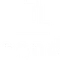 Pand