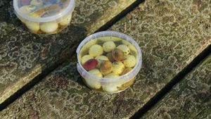 Gemarineerde kaasparels met olijven 2