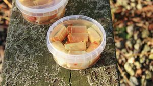 Gemarineerde rollades in koolzaadolie