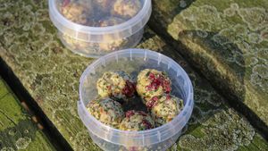 Truffels met cranberry