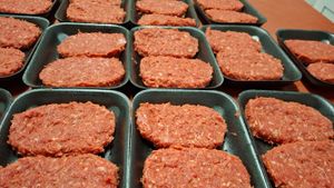 IMG 20250108 Hamburgers