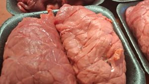 IMG 20250108 blinde vinken kopie