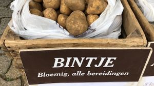 Bintje 5 kg