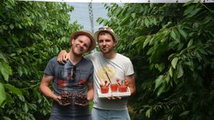 36905987 1409626842471514 7671653258217127936 o